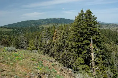 Balsamroot & Valleys from Fall Mountain-Malheur (23849263241)