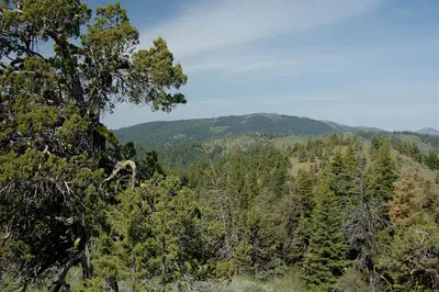 Looking West from Fall Mountain Lookout-Malheur (23849266561)