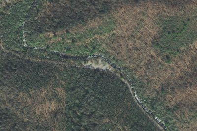 Davis Branch Campground