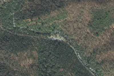 Davis Branch Campground