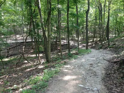 Eagle Valley Trail 2