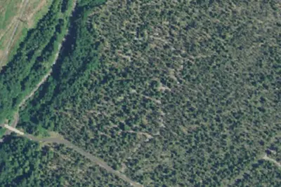 McNeil Campground