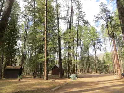 Christopher Creek Campground views of tall pines and restroom building.