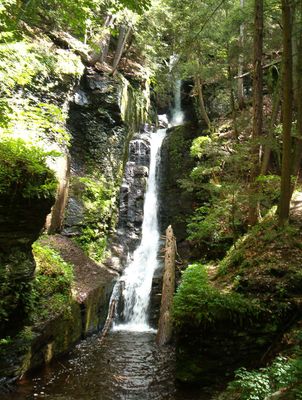 Worthington State Forest Campground