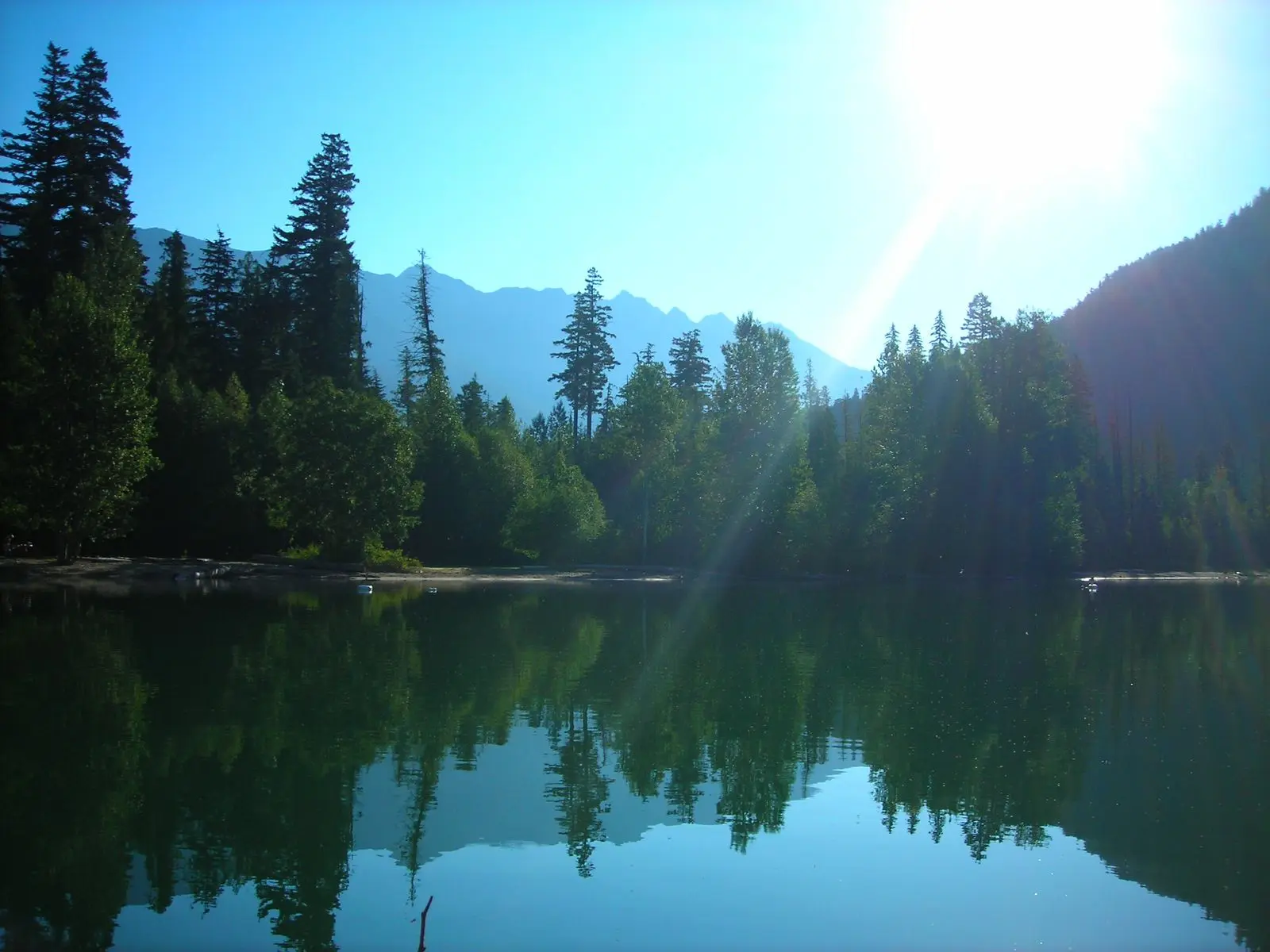 Photo of Birkenhead Lake Park