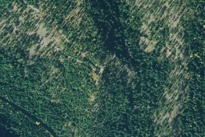 Rd 2741 Site 11