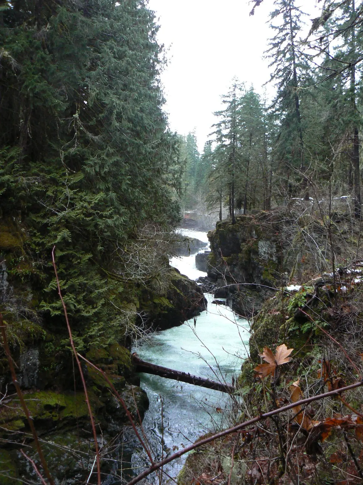 Photo of Stamp River Park