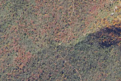 Pine Spring Camp