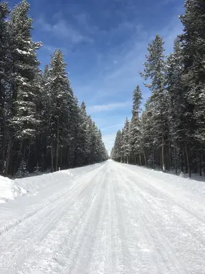 Driving on the Bow Valley Parkway