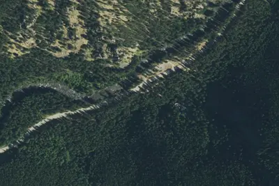Lodgepole Campground - Gunnison RD