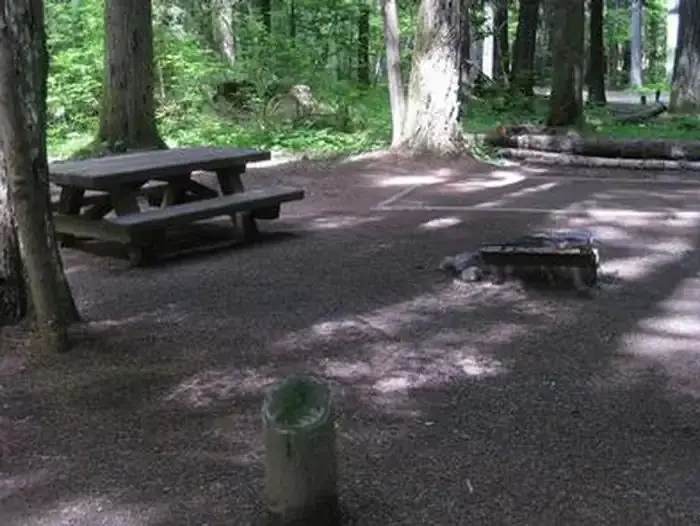 Paradise Creek campground
