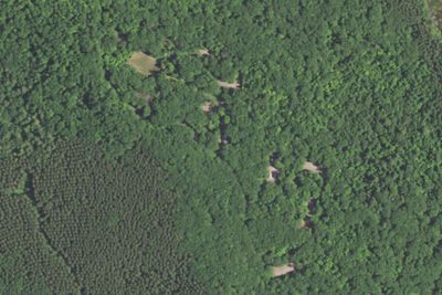 Large Group Sites