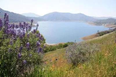 Island Park campground view of lake