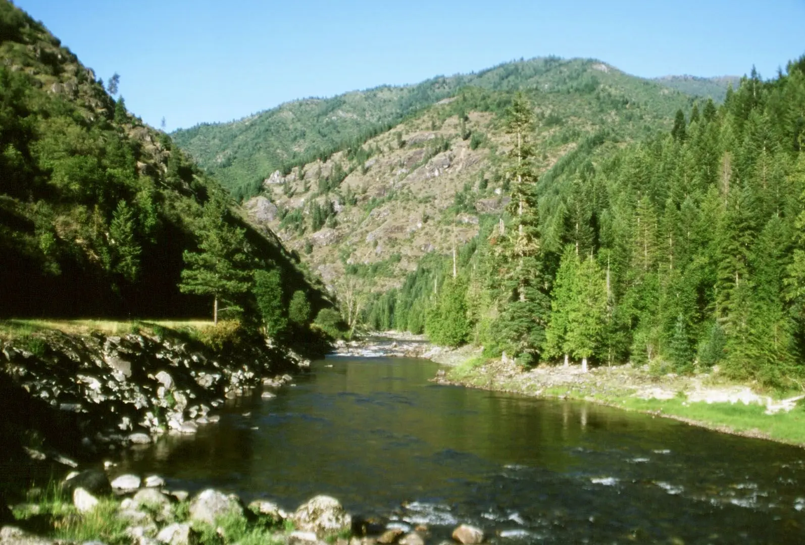 Photo of Clearwater National Forest