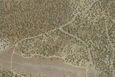 Camp site