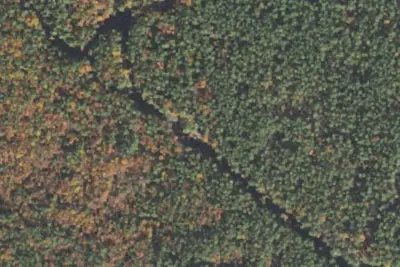 Camp site (Groton Conservation Commission)