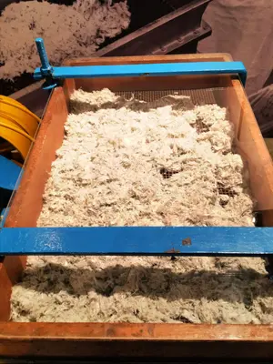 Asbestos, Musee Mineralogique et Minier de Thetford Mines (29880617374)