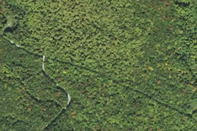 Camp site