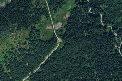 Camp site