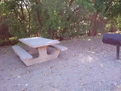Picnic table and grill.