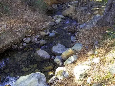 Reyes creek campground11