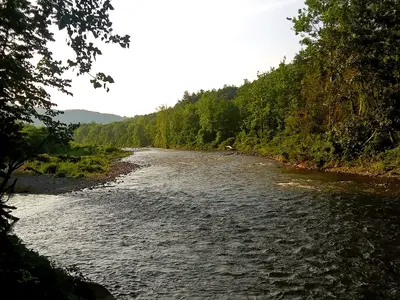 Esopus Creek upstream at Mount Tremper, NY