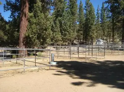 Wild Horse Equestrian Family