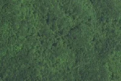 Site B