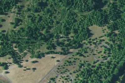 Horse Camp