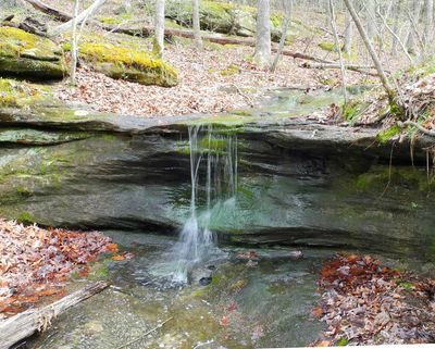 Hawn State Park 24mar12 25