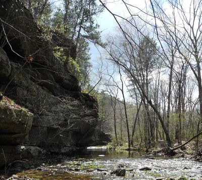 Hawn State Park 24mar12 21