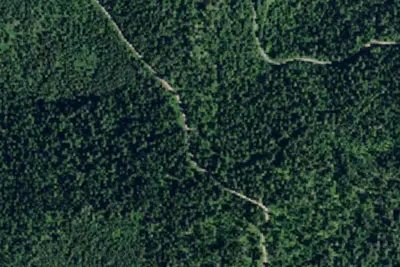 Rd 439 Site 10