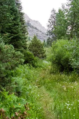 Must Be Near A Creek (140444093)