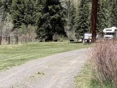 Blanco River Group Campground