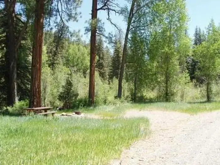 Blanco River Group Campground