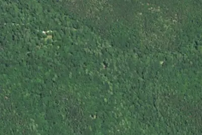 Camp Run Campground
