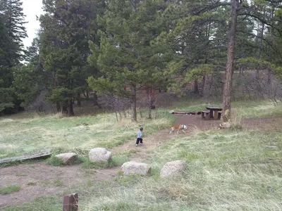 Campsite - panoramio (5)