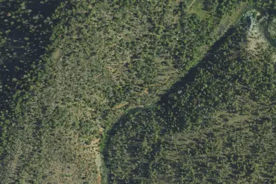 Camp site