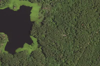 Dogwood Camping Area