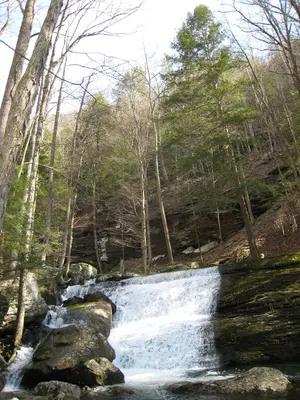 Falls on Laurel Creek (2352343147)