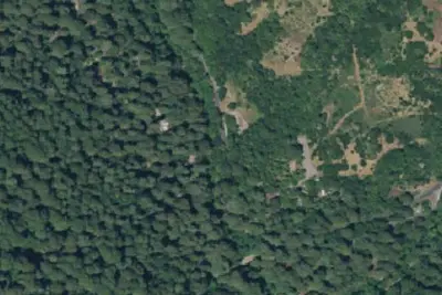 Camp Taylor