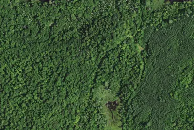 Camp site (NY DEC)