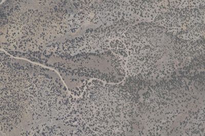 Berlin Ichthyosaur Campground
