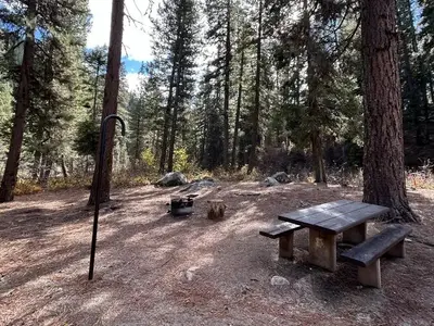 Campsite with lantern hook, picnic table, and fire ring