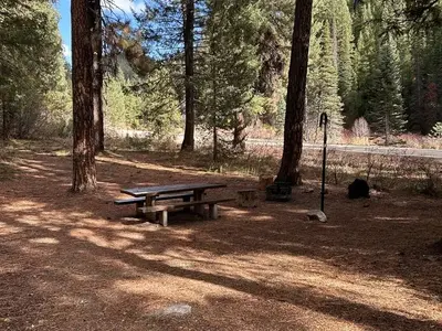 Campsite with picnic table, fire ring, and lantern hook