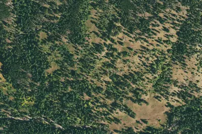 U.S. Forest Service Site 5
