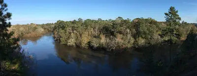 Neuse River at Cliffs of the Neuse State Park 2020