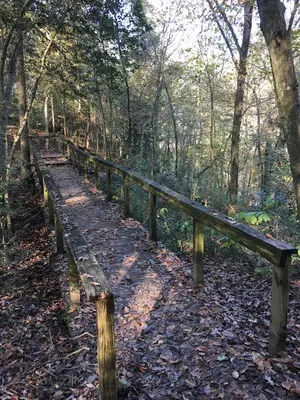 Cliffs of the Neuse State Park footbridge