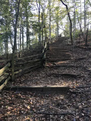 Spanish Moss Trail steps in Cliffs of the Neuse State Park
