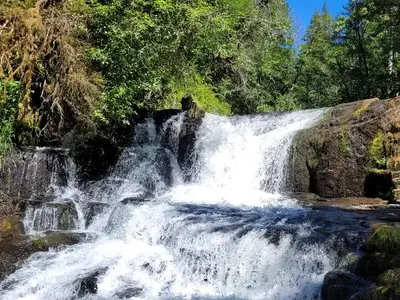 Alsea Falls centered in the photo at close range. The water white and rushing over rocks and the falls are surrounded by green trees and shrubs with a patch of blue sky above.